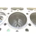 INTERNATIONAL MaxxForceDT Cylinder Block thumbnail 8