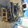 INTERNATIONAL MaxxForceDT Engine Assembly thumbnail 15