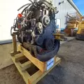 INTERNATIONAL MaxxForceDT Engine Assembly thumbnail 4