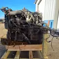 INTERNATIONAL MaxxForceDT Engine Assembly thumbnail 9