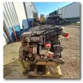 INTERNATIONAL MaxxForceDT Engine Assembly thumbnail 8