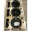 INTERNATIONAL Maxxforce 10 Cylinder Block thumbnail 5