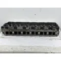 INTERNATIONAL Maxxforce 10 Cylinder Head thumbnail 3