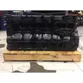 INTERNATIONAL Maxxforce 13 Cylinder Block thumbnail 3