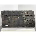 INTERNATIONAL Maxxforce 13 Cylinder Block thumbnail 4