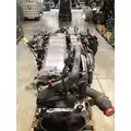 INTERNATIONAL Maxxforce 13 Engine Assembly thumbnail 11