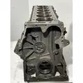 INTERNATIONAL Maxxforce 13 Engine Block thumbnail 2