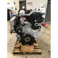 INTERNATIONAL Maxxforce 15 Engine Assembly thumbnail 7