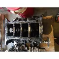 INTERNATIONAL Maxxforce 7 Liter Cylinder Block thumbnail 2