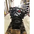 INTERNATIONAL Maxxforce 7 Engine Assembly thumbnail 2