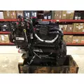 INTERNATIONAL Maxxforce 7 Engine Assembly thumbnail 3