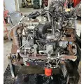 INTERNATIONAL Maxxforce 7 Engine Assembly thumbnail 2