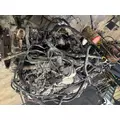 INTERNATIONAL Maxxforce 9 Engine Assembly thumbnail 2