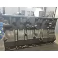 INTERNATIONAL Maxxforce DT Cylinder Block thumbnail 3