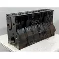 INTERNATIONAL Maxxforce DT Cylinder Block thumbnail 1