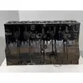 INTERNATIONAL Maxxforce DT Cylinder Block thumbnail 3