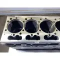 INTERNATIONAL Maxxforce DT Cylinder Block thumbnail 11