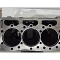 INTERNATIONAL Maxxforce DT Cylinder Block thumbnail 6