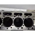 INTERNATIONAL Maxxforce DT Cylinder Block thumbnail 7
