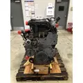 INTERNATIONAL Maxxforce DT Engine Assembly thumbnail 11