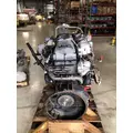 INTERNATIONAL Maxxforce DT Engine Assembly thumbnail 3