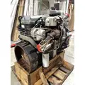 INTERNATIONAL Maxxforce DT Engine Assembly thumbnail 8