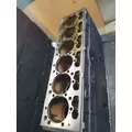 INTERNATIONAL Maxxforce DT Engine Block thumbnail 5