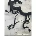 INTERNATIONAL Maxxforce DT Engine Wiring Harness thumbnail 2