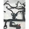 INTERNATIONAL Maxxforce DT Engine Wiring Harness thumbnail 4