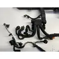 INTERNATIONAL Maxxforce DT Engine Wiring Harness thumbnail 5