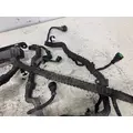 INTERNATIONAL Maxxforce13 Engine Wiring Harness thumbnail 5