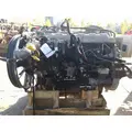 INTERNATIONAL N13 EPA 10 ENGINE ASSEMBLY thumbnail 9