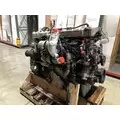 INTERNATIONAL N13 Engine Assembly thumbnail 4