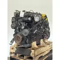 INTERNATIONAL N13 Engine Assembly thumbnail 1