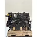 INTERNATIONAL N13 Engine Assembly thumbnail 2