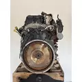 INTERNATIONAL N13 Engine Assembly thumbnail 4
