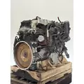 INTERNATIONAL N13 Engine Assembly thumbnail 5