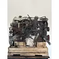 INTERNATIONAL N13 Engine Assembly thumbnail 6