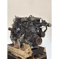 INTERNATIONAL N13 Engine Assembly thumbnail 7