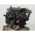 INTERNATIONAL N13 Engine Assembly thumbnail 7