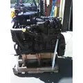INTERNATIONAL N9 EPA 13 ENGINE ASSEMBLY thumbnail 13
