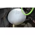 INTERNATIONAL PROSTAR 113 2007-2025 FUEL TANK thumbnail 1