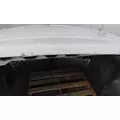 INTERNATIONAL PROSTAR 113 2007-2025 HOOD thumbnail 2