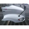 INTERNATIONAL PROSTAR 113 HOOD thumbnail 2