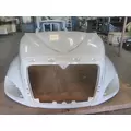 INTERNATIONAL PROSTAR 113 HOOD thumbnail 4