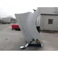 INTERNATIONAL PROSTAR 113 HOOD thumbnail 10