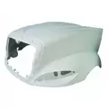 INTERNATIONAL PROSTAR 122 2007-2025 HOOD thumbnail 2