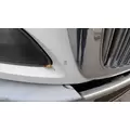 INTERNATIONAL PROSTAR 122 2007-2025 HOOD thumbnail 4