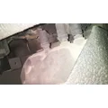 INTERNATIONAL PROSTAR 122 DEF PUMP thumbnail 1