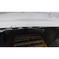 INTERNATIONAL PROSTAR 122 HOOD thumbnail 2